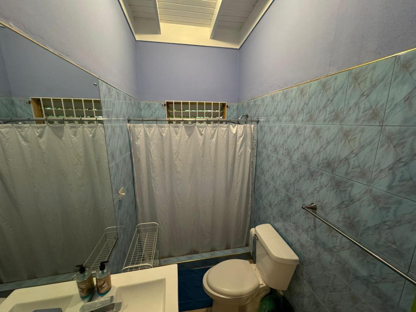 Shalom Suite 2, Manor Park 킹스톤 외부 사진