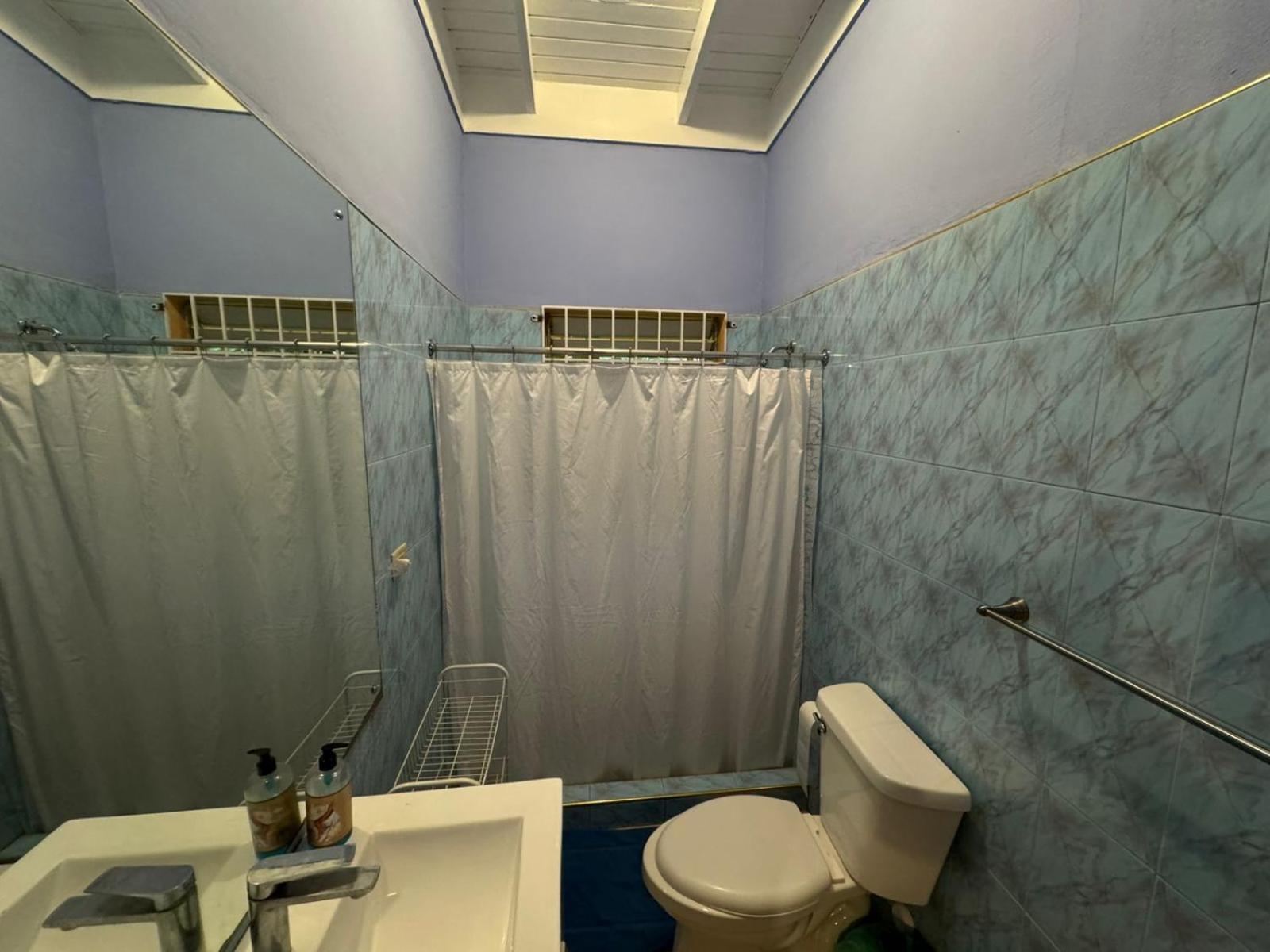 Shalom Suite 2, Manor Park 킹스톤 외부 사진
