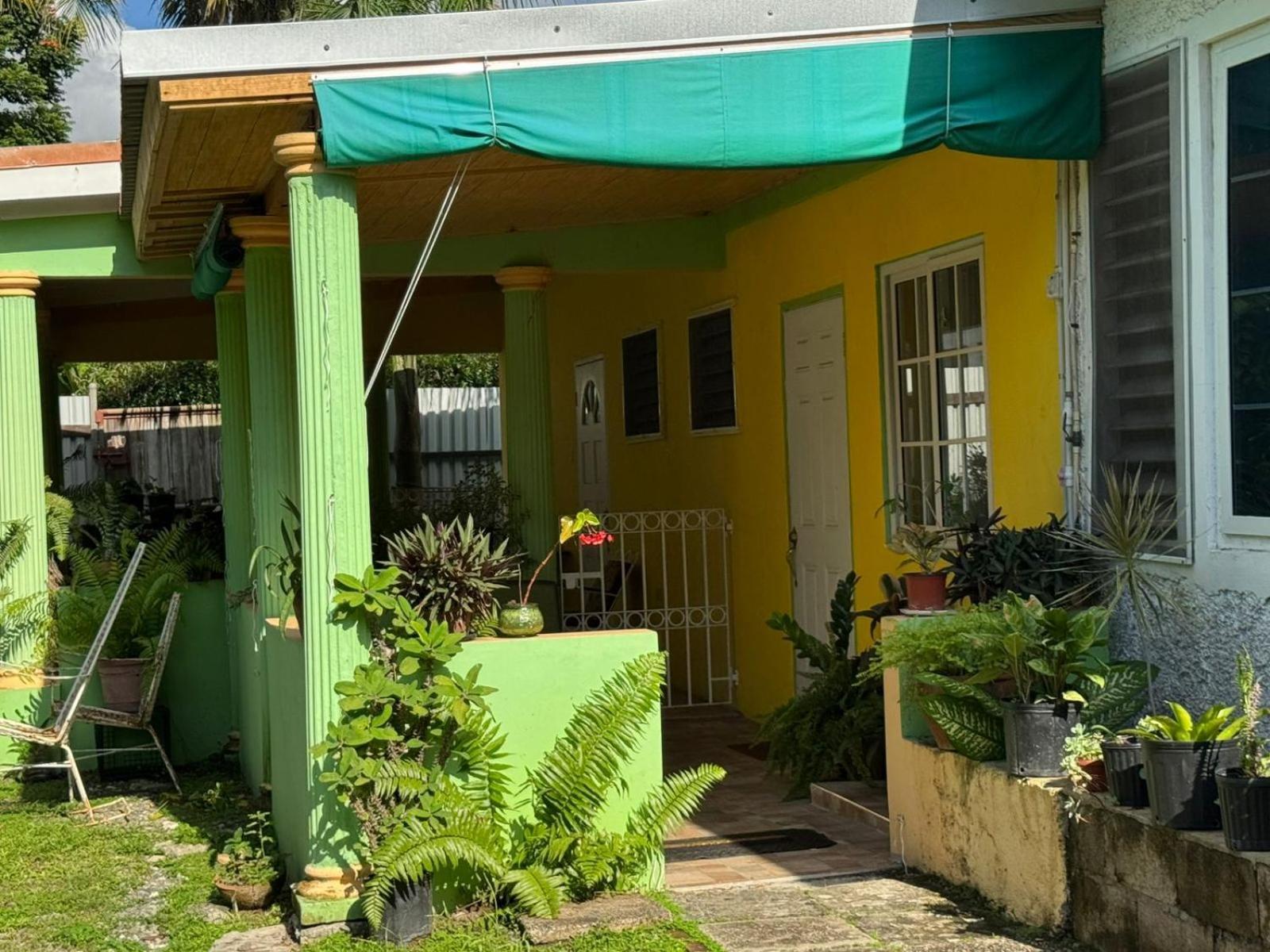 Shalom Suite 2, Manor Park 킹스톤 외부 사진